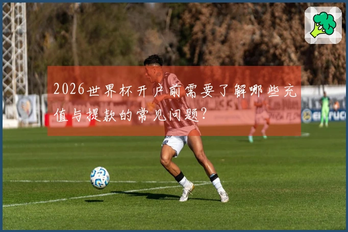 2026世界杯开户前需要了解哪些充值与提款的常见问题？