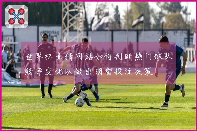 世界杯竞猜网站如何判断热门球队赔率变化以做出明智投注决策