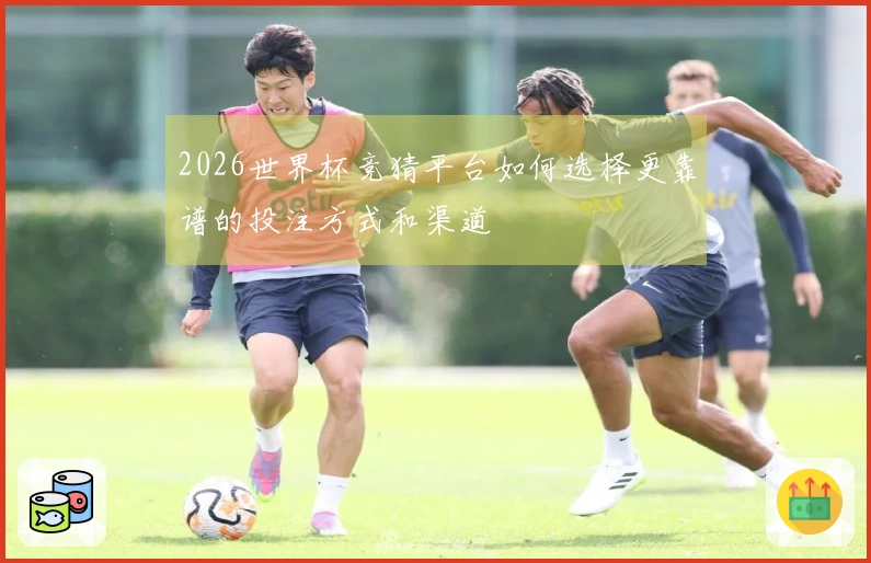 2026世界杯竞猜平台如何选择更靠谱的投注方式和渠道
