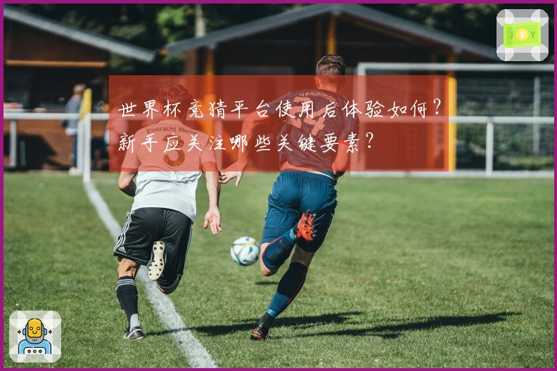 世界杯竞猜平台使用后体验如何？新手应关注哪些关键要素？