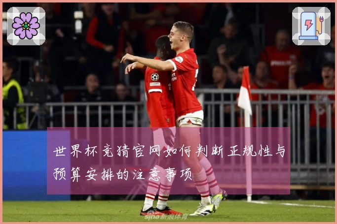 世界杯竞猜官网如何判断正规性与预算安排的注意事项