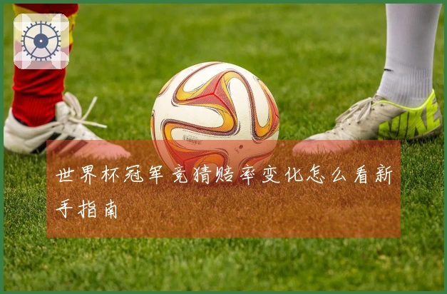 世界杯冠军竞猜赔率变化怎么看新手指南